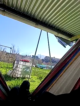 freedick93 online show from 03/17/26, 01:58