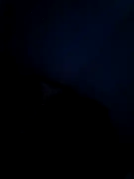 Snapshot of Vaishnavii chatting on 03/21/26, 08:19 Vaishnavii online show from 03/21/26, 08:19