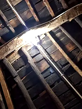 Alge882 online show from 04/05/26, 12:19