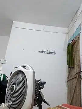 cactoto online show from 05/04/26, 04:47
