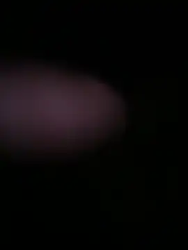 globalfucker34 online show from 03/22/26, 08:34