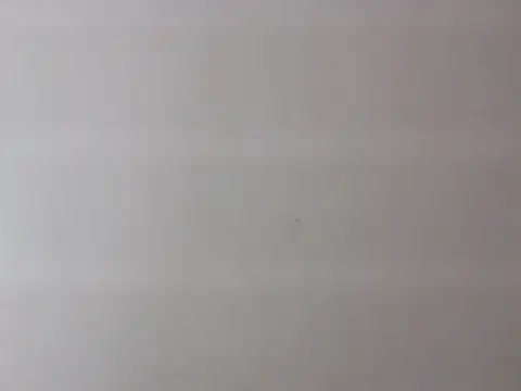 Snapshot of Zurii_ chatting on 04/12/26, 07:52 Zurii online show from 04/12/26, 07:52