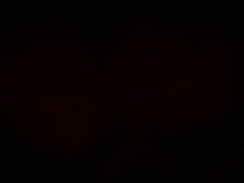 17Komodo online show from 05/14/26, 04:58