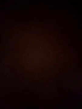 VENUSH STYLO online show from 03/31/26, 04:40