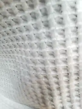 Aurora Nova online show from 03/25/26, 06:08