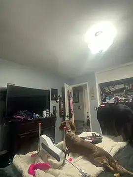 sweetkacibaby online show from 06/07/26, 02:21