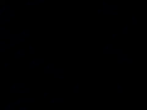 nozie03 online show from 05/10/26, 08:03
