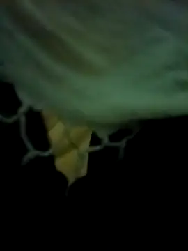 yourdreamman007  online show from 03/31/26, 11:27