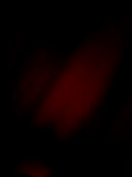 Eivar003 online show from 04/03/26, 04:54