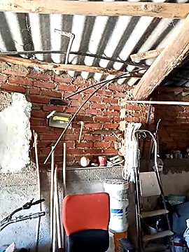 mecaloco online show from 04/05/26, 11:29