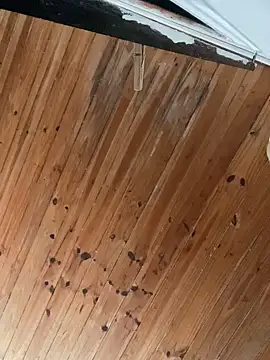 Juliett06 online show from 04/05/26, 04:26