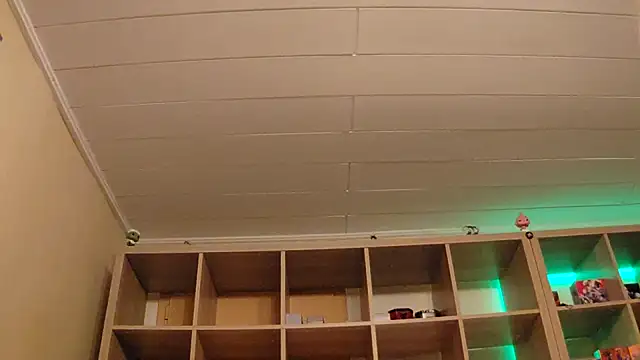 Snapshot of SilvyDiamond chatting on 04/07/26, 07:36 SilvyDiamond online show from 04/07/26, 07:36