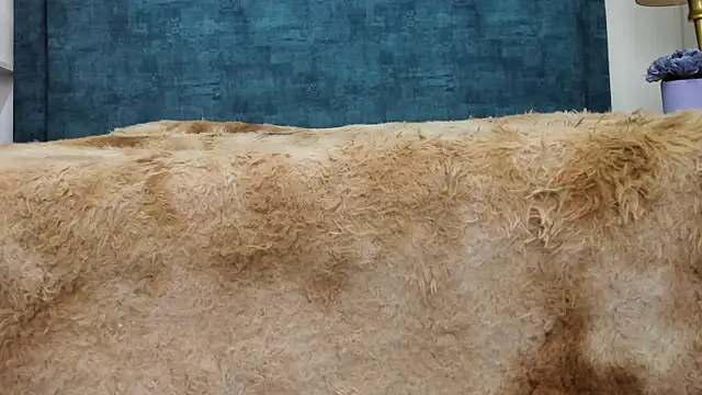 IsadoraVex online show from 04/14/26, 12:44