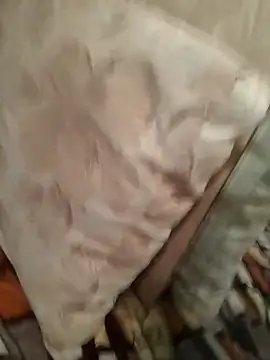 perfect vicy online show from 04/07/26, 07:03