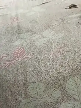 pujaji098 online show from 04/13/26, 04:07