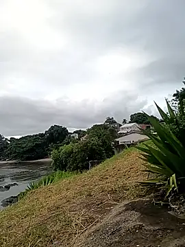 Snapshot of rogeriobastospqdt chatting on 04/09/26, 07:41 rogeriobastospqdt online show from 04/09/26, 07:41