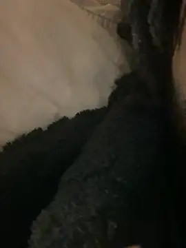 BBCboy365 online show from 04/12/26, 10:48