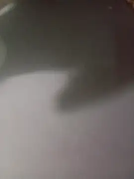 lucybeb online show from 04/14/26, 06:41