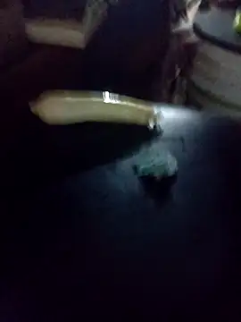 lucybeb online show from 04/15/26, 08:43