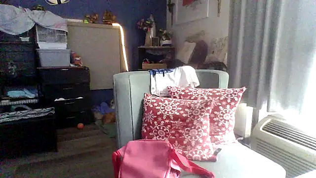Dicksee Left online show from 04/29/26, 03:49