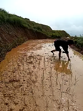 LucyBri01 online show from 04/18/26, 02:04