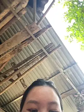 Swan 69 online show from 04/21/26, 09:59