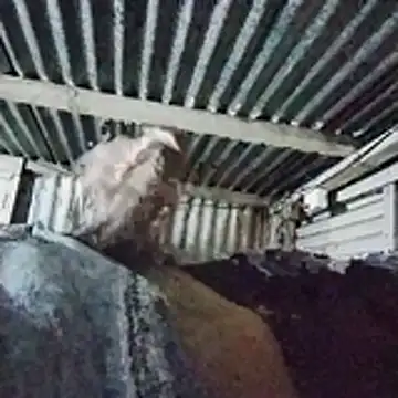 PUNEPLAYBOY2 online show from 04/20/26, 03:04