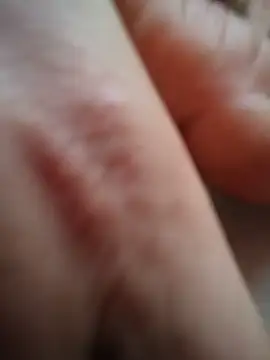Hazel Nova online show from 06/12/26, 01:48