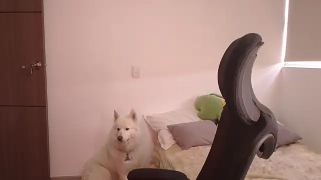 abbyyandmaxx online show from 06/24/26, 03:55