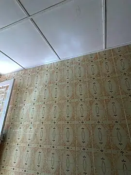 viioletta 00 online show from 08/07/26, 03:14
