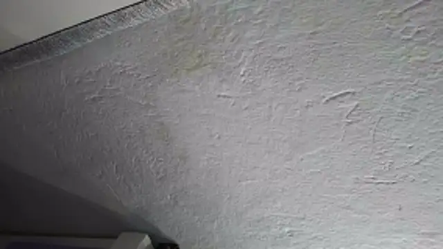 Snapshot of Hot_Sophy_ chatting on 06/05/26, 04:30 Hot Sophy online show from 06/05/26, 04:30
