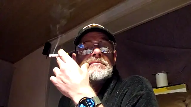 Stillefugl online show from 05/11/26, 03:01