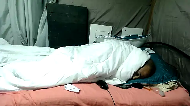 Snapshot of Camodick chatting on 06/12/26, 01:26 Camodick online show from 06/12/26, 01:26