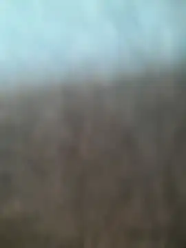 kasalsecrets online show from 07/02/26, 05:52