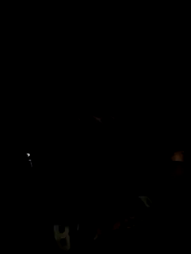 AUUUMrrrr online show from 05/11/26, 08:39