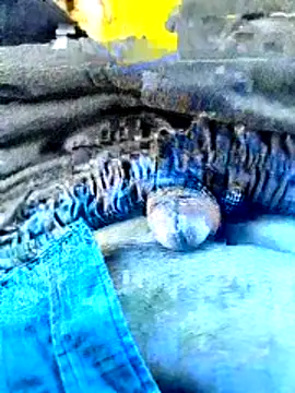 indiandeshi online show from 06/24/26, 02:21