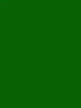 HORNI SHALU50 online show from 05/28/26, 06:54