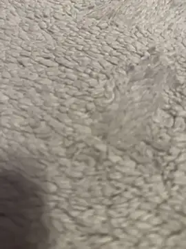 Snapshot of lil_martian chatting on 02/12/26, 12:05 lil martian online show from 02/12/26, 12:05