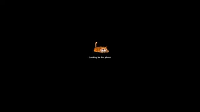 Snapshot of bella-diaz chatting on 07/13/26, 08:33 bella-diaz online show from 07/13/26, 08:33