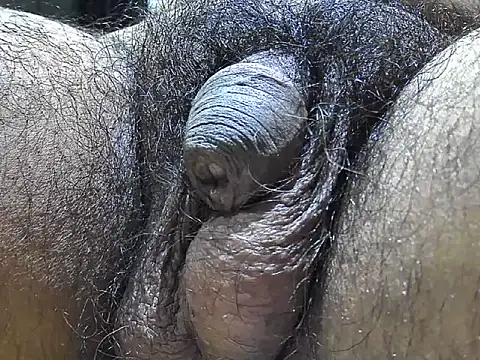 Snapshot of indiboy009 chatting on 09/09/25, 07:35 indiboy009 online show from 09/09/25, 07:35