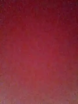 pricilanunes online show from 07/06/26, 11:40