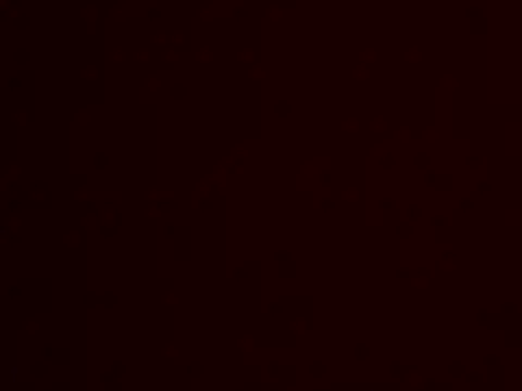 Leeszim26 online show from 06/06/26, 12:05