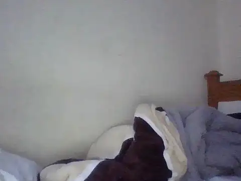 Snapshot of Dina_Nina chatting on 08/07/26, 10:12 Dina Nina online show from 08/07/26, 10:12