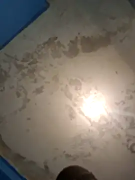 Elenarodriguez online show from 08/03/26, 03:38