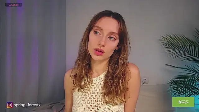 spring forest online show from 11/17/25, 11:49