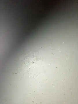 Curvy conda online show from 01/11/26, 10:26