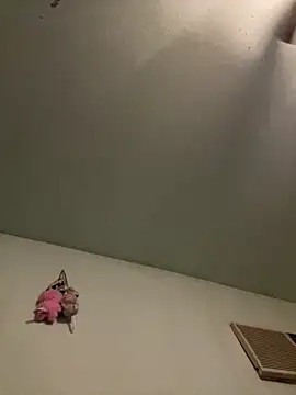 Slumlords online show from 03/11/26, 03:45