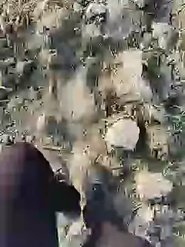 ThethunderPo online show from 01/19/25, 02:36