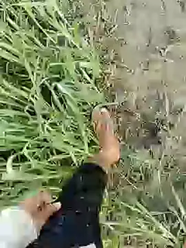 ThethunderPo online show from 02/19/25, 01:51