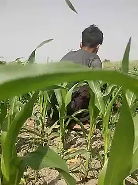 ThethunderPo online show from 03/05/25, 08:10